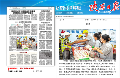 人生就是博西北集团珑樾府项目高温慰问——《陕西日报》